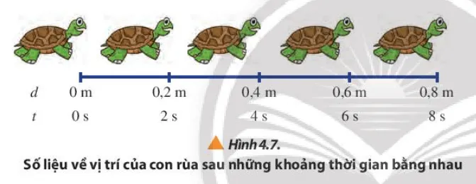 Dùng số liệu của hai chuyển động trong Hình 4.7 và 4.8: Cau Hoi 7 Trang 28 Vat Li 10 132317