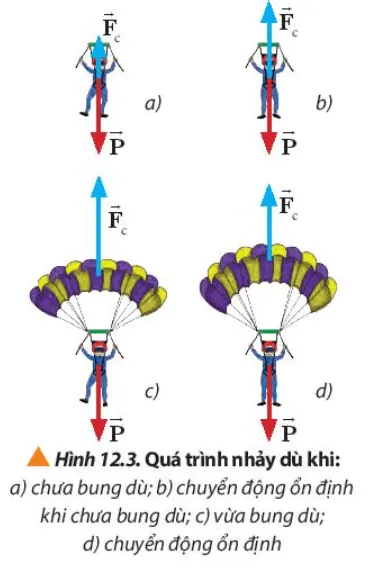 Quan sát Hình 12.3, mô tả chuyển động của vận động viên nhảy dù từ khi bắt đầu nhảy Luyen Tap Trang 75 Vat Li 10