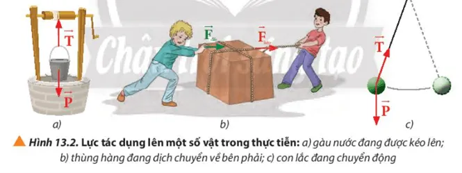 Hãy chọn một trường hợp trong các trường hợp ở hình 13.2 để xác định lực tổng hợp Luyen Tap Trang 81 Vat Li 10