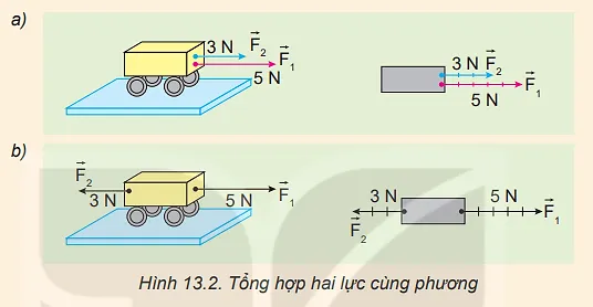 Dựa vào Hình 13.2, hãy nêu cách xác định độ lớn và chiều của hợp lực trong hai trường hợp Cau Hoi 1 Trang 57 Vat Li 10 131844