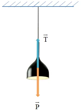 Một bóng đèn có khối lượng 500 g được treo thẳng đứng vào trần nhà bằng một sợi dây Cau Hoi 1 Trang 71 Vat Li 10 132135