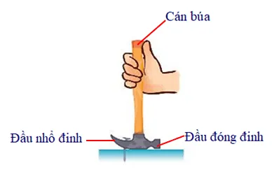Mô tả thao tác dùng búa để nhổ đinh Cau Hoi 1 Trang 83 Vat Li 10 132246