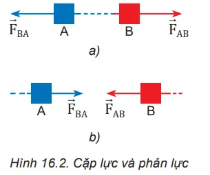 Hãy chỉ rõ điểm đặt của mỗi lực trong mỗi cặp lực ở Hình 16.2 a, b Cau Hoi Trang 67 Vat Li 10 132115