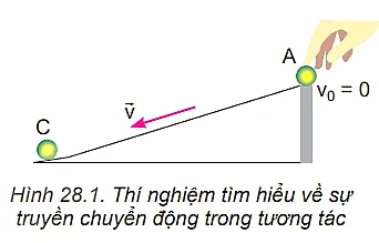 Thực hiện các thí nghiệm sau để tìm hiểu về sự truyền chuyển động trong tương tác Hoat Dong Trang 110 Vat Li 10 132363
