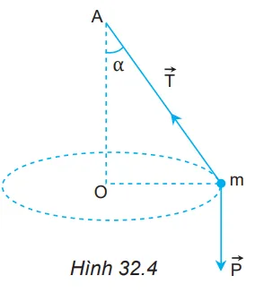 Vẽ hợp lực của lực căng dây vecto T và trọng lực vecto P, từ đó xác định lực hướng tâm Hoat Dong Trang 125 Vat Li 10 132392