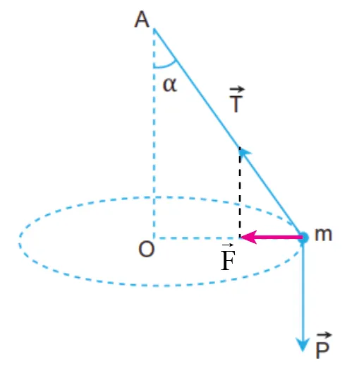 Vẽ hợp lực của lực căng dây vecto T và trọng lực vecto P, từ đó xác định lực hướng tâm Hoat Dong Trang 125 Vat Li 10 132393