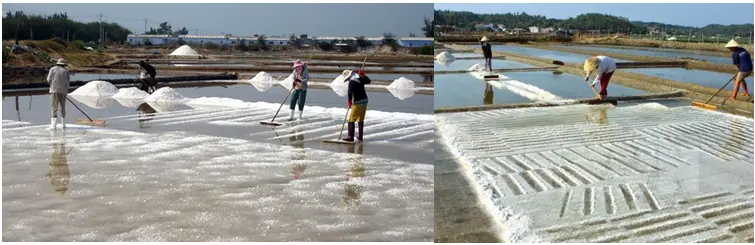 Lý thuyết: Sự bay hơi và sự ngưng tụ | Lý thuyết - Bài tập Vật Lý 6 có đáp án Ly Thuyet Su Bay Hoi Va Su Ngung Tu 2