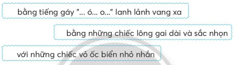 Vở bài tập Tiếng Việt lớp 3 Bài 1: Cậu bé và mẩu san hô trang 67, 68 Tập 2 | Chân trời sáng tạo Bai 1 Cau Be Va Mau San Ho 3