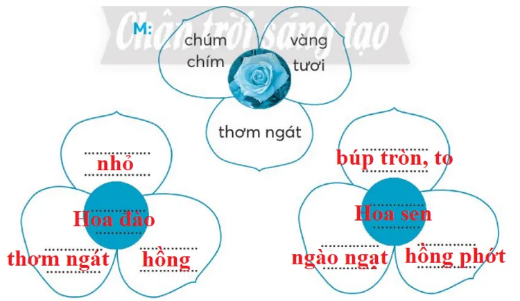 Vở bài tập Tiếng Việt lớp 3 Bài 4: Hoa cỏ sân trường trang 22, 23 Tập 1 | Chân trời sáng tạo Bai 4 Hoa Co San Truong 1