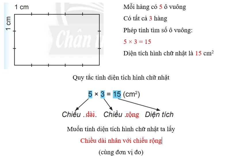 Vở bài tập Toán lớp 3 Tập 2 trang 76, 77 Diện tích hình chữ nhật - Chân trời sáng tạo Dien Tich Hinh Chu Nhat 4