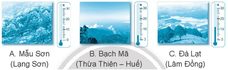 Vở bài tập Toán lớp 3 Tập 1 trang 84, 85 Em làm được những gì? | Chân trời sáng tạo Em Lam Duoc Nhung Gi 3 10