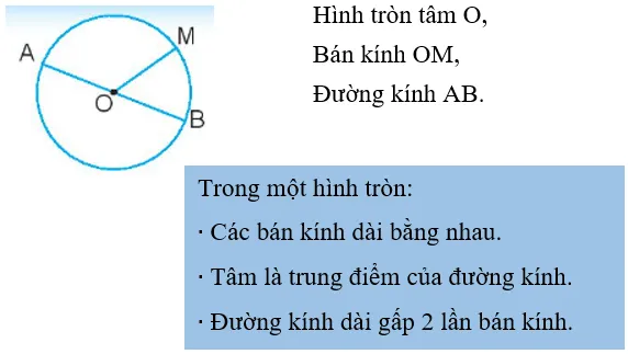 Vở bài tập Toán lớp 3 Tập 1 trang 81, 82 Hình tròn | Chân trời sáng tạo Hinh Tron 1