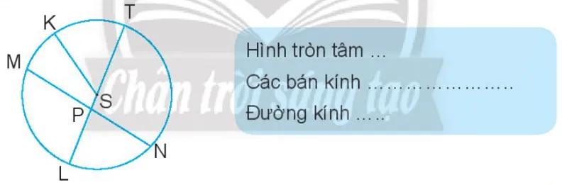 Vở bài tập Toán lớp 3 Tập 1 trang 81, 82 Hình tròn | Chân trời sáng tạo Hinh Tron 2