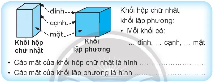 Vở bài tập Toán lớp 3 Tập 1 trang 26 Khối hộp chữ nhật. Khối lập phương - Chân trời sáng tạo Khoi Hop Chu Nhat Khoi Lap Phuong 142404