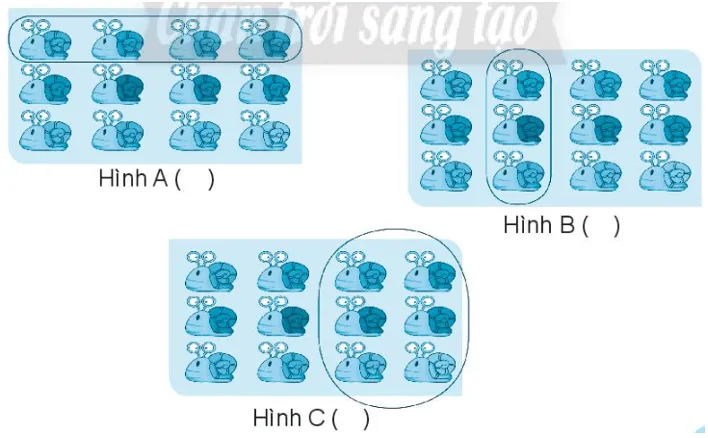 Vở bài tập Toán lớp 3 Tập 1 trang 48, 49 Một phần hai, một phần ba, một phần tư, một phần năm | Chân trời sáng tạo Mot Phan Hai Mot Phan Ba Mot Phan Tu Mot Phan Nam 13