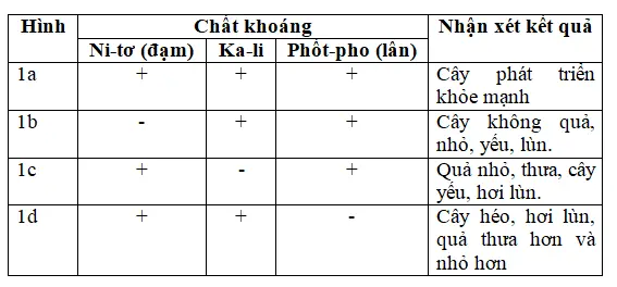 Giải vở bài tập Khoa Học lớp 4 | Giải VBT Khoa Học 4 Bai 59 Nhu Cau Chat Khoang Cua Thuc Vat 1